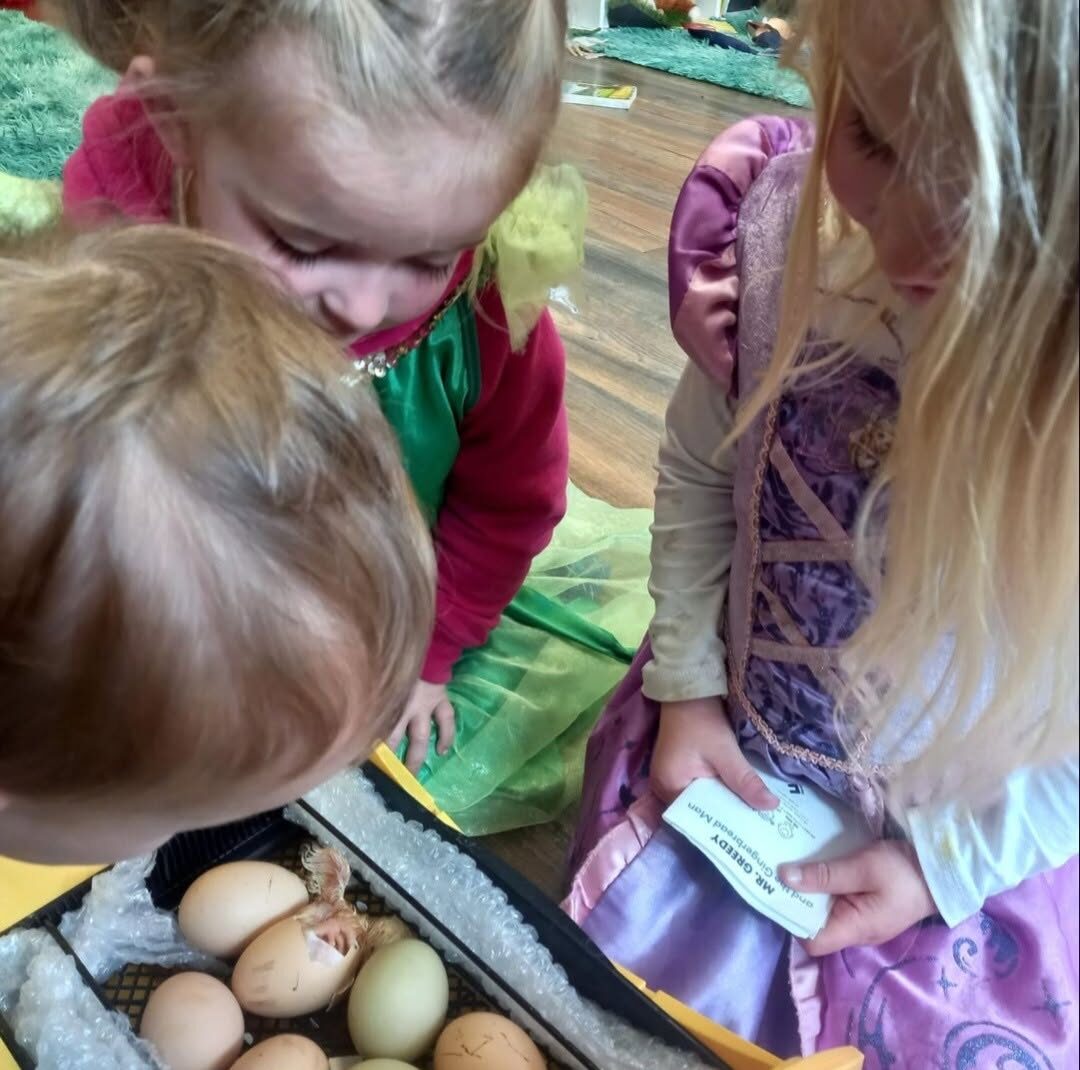 Children gathered around the incubator, watching chicks hatch